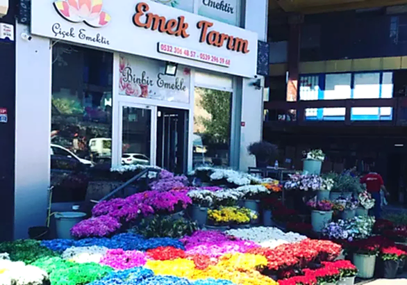 biz-kimiz